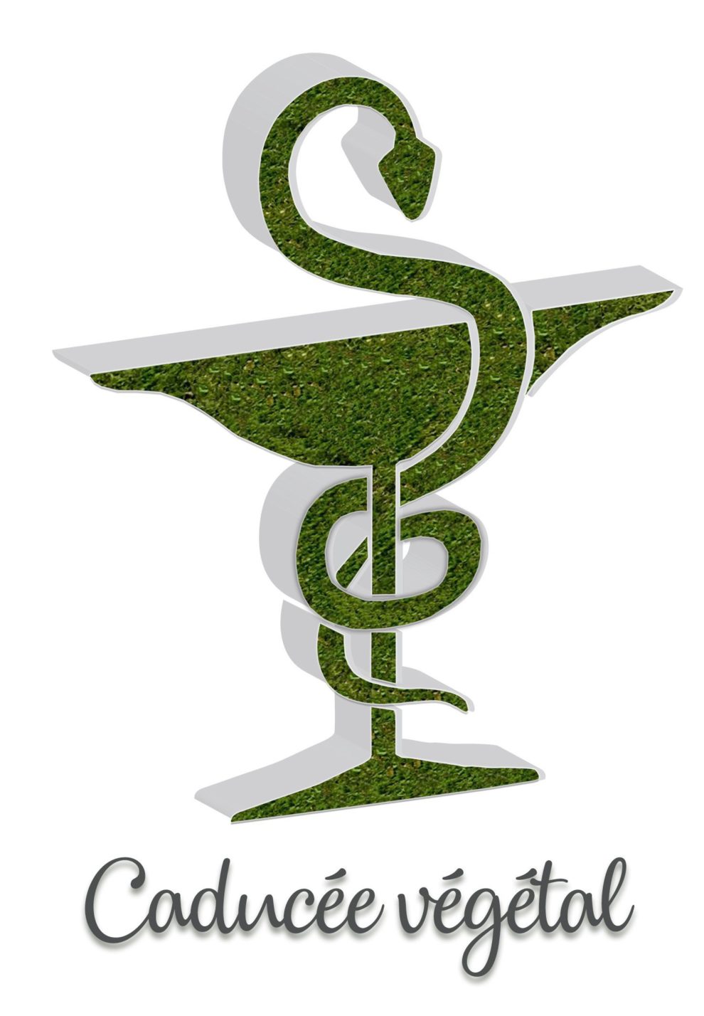 Caducee Vegetal Enseigne Identilux 990x1428